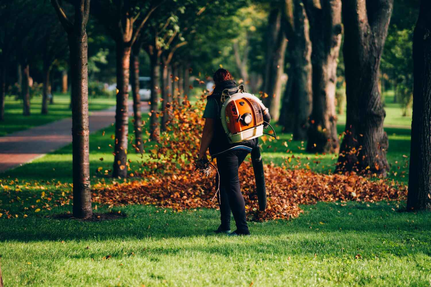 Best Affordable Tree Service  in Madeira Beach, FL